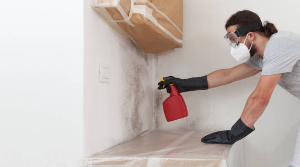 Professional Bathroom Mold Removal technician working in Montville, NJ