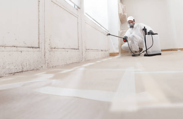 24/7 Emergency Bathroom Mold Removal experts in Montville, NJ